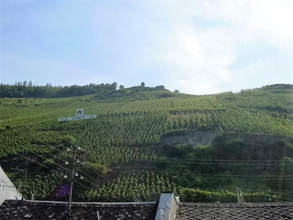 Villa Cella Zell an der Mosel Exterior photo